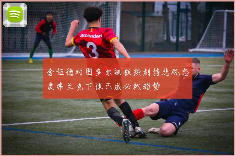 舍伍德对图多尔执教热刺持悲观态度弗兰克下课已成必然趋势