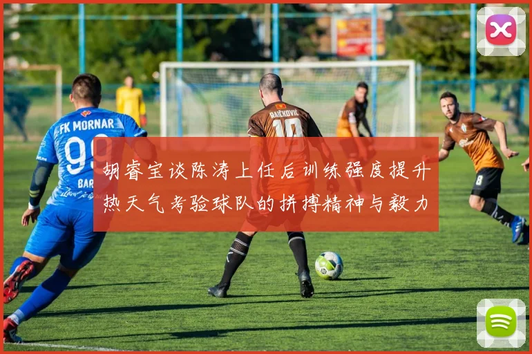 胡睿宝谈陈涛上任后训练强度提升热天气考验球队的拼搏精神与毅力